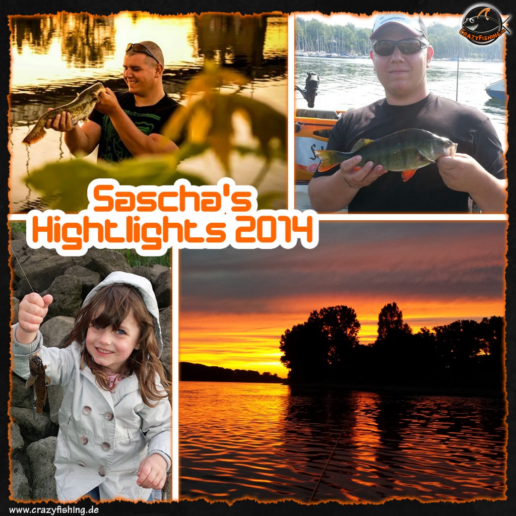 sascha_collage